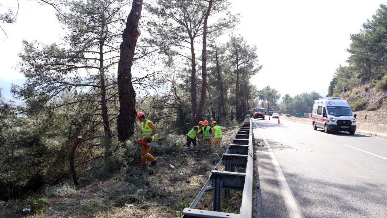 Foto - Yangına karşı koruma temizliği