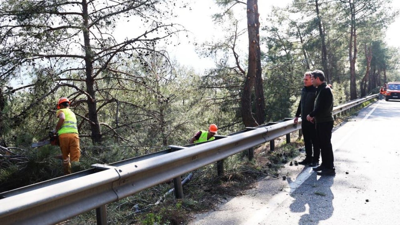 Foto - Yangına karşı koruma temizliği