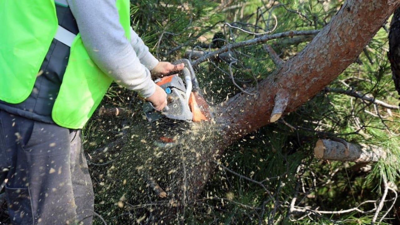 Foto - Yangına karşı koruma temizliği