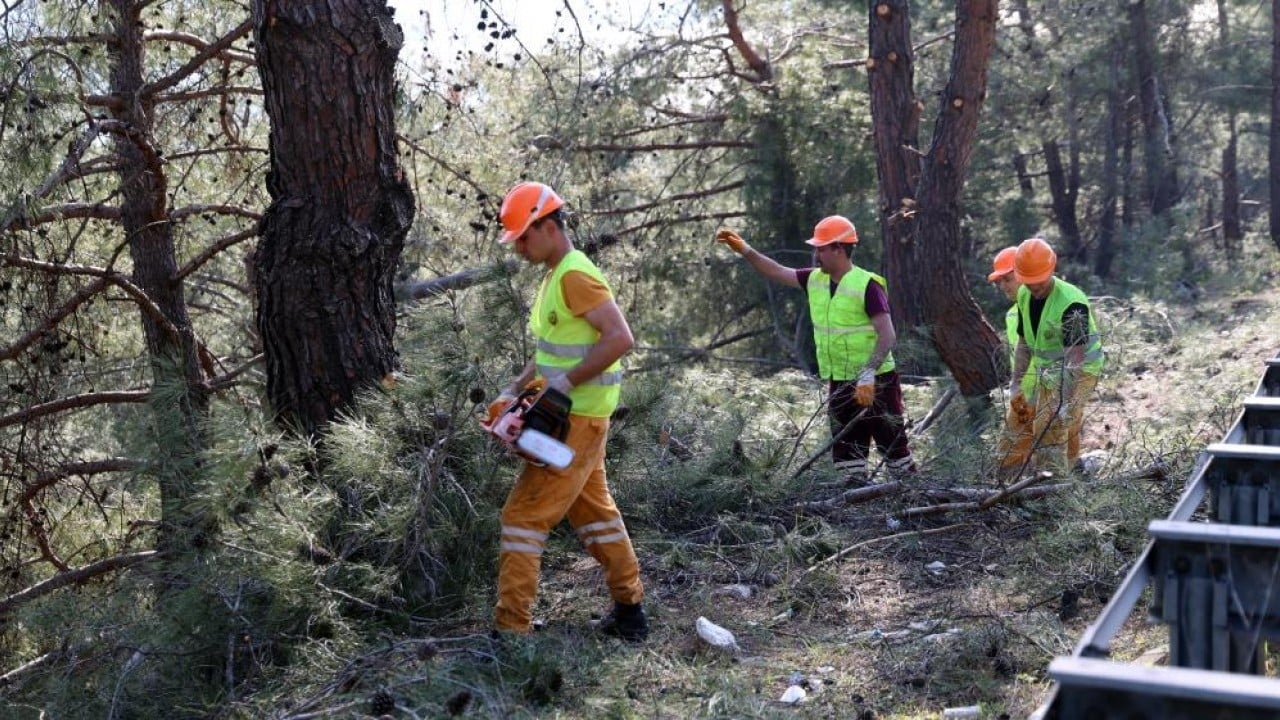 Foto - Yangına karşı koruma temizliği