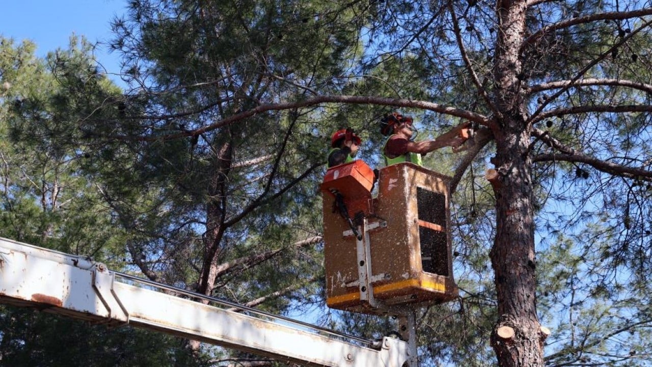 Foto - Yangına karşı koruma temizliği