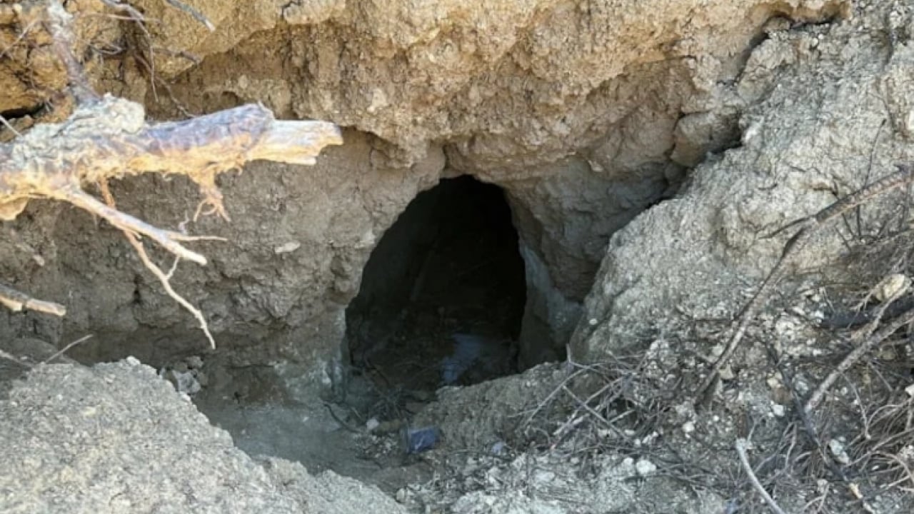 Foto - Hiçbir fırsatı kaçırmıyorlar! Yangın sonrası hepsinin hedefi oldu!