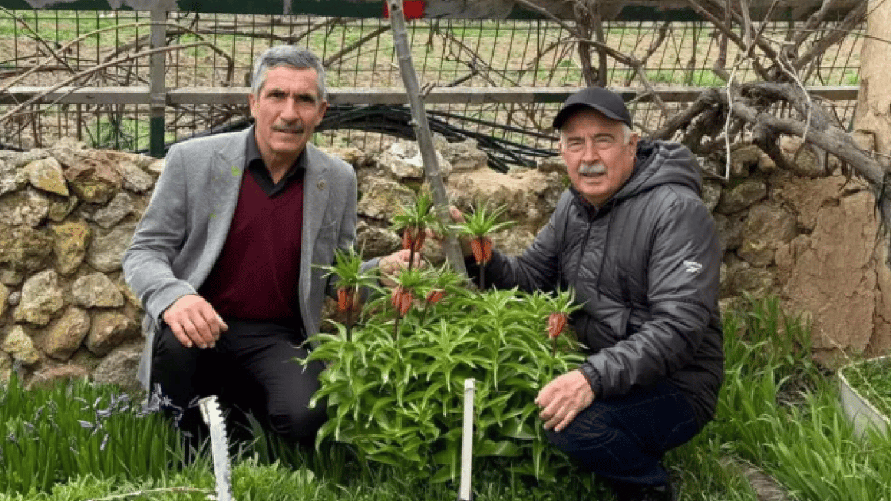 Foto - Görürseniz sakın dokunmayın: Koparmanın bedeli 700 bin TL