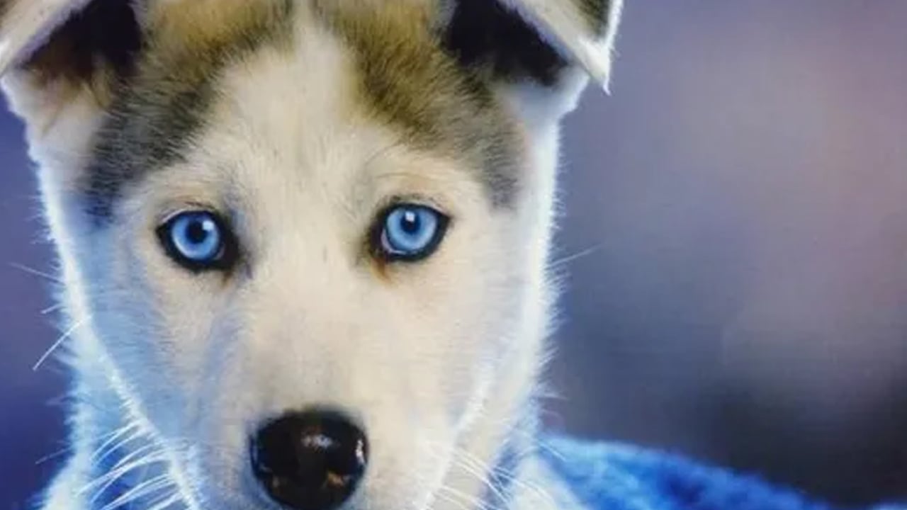 Foto - Yanlış bilinen 7 şey: Detayı biliyor musunuz? Hiç duymamış olabilirsiniz... Doğru bilinen yanlışlar