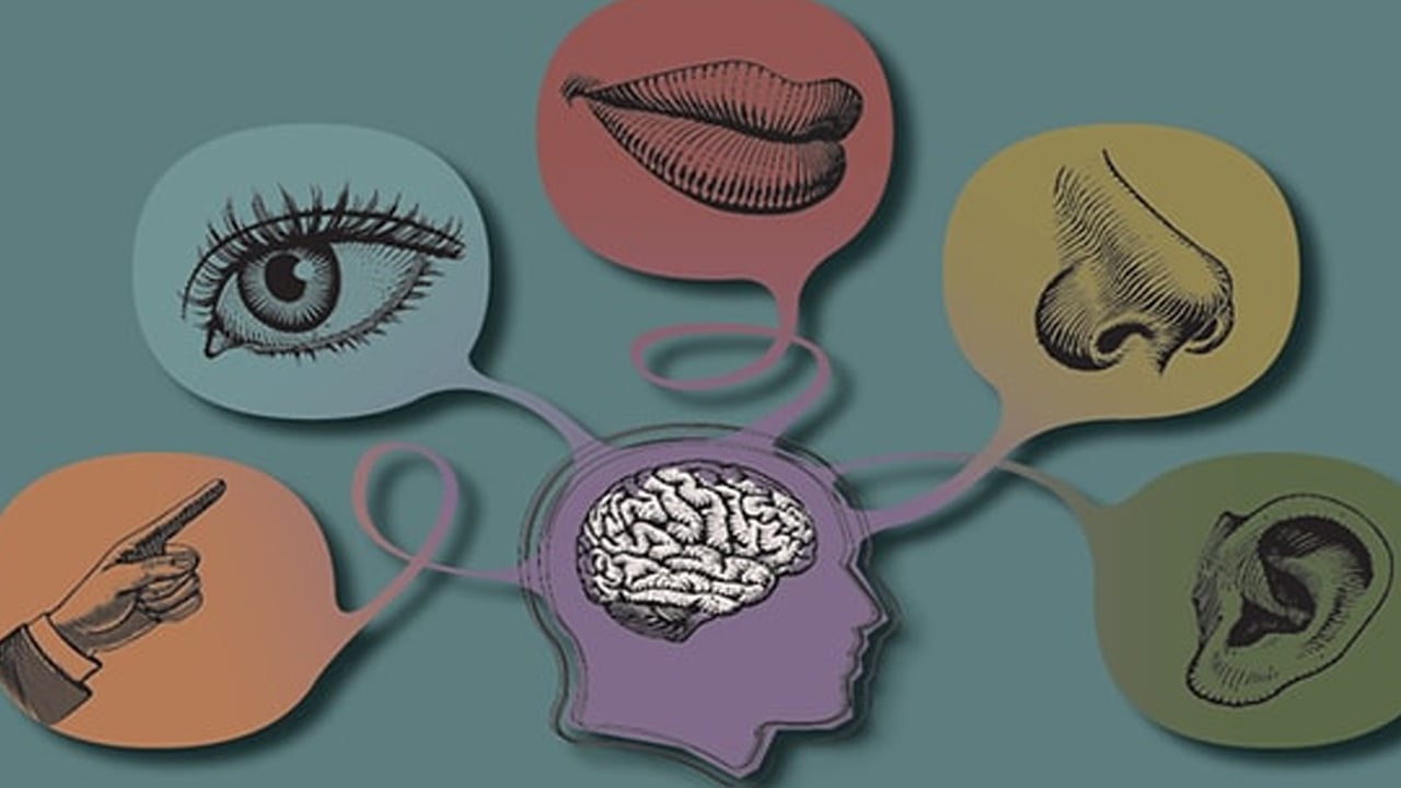 Yanlış bilinen 7 şey: Detayı biliyor musunuz? Hiç duymamış olabilirsiniz... Doğru bilinen yanlışlar