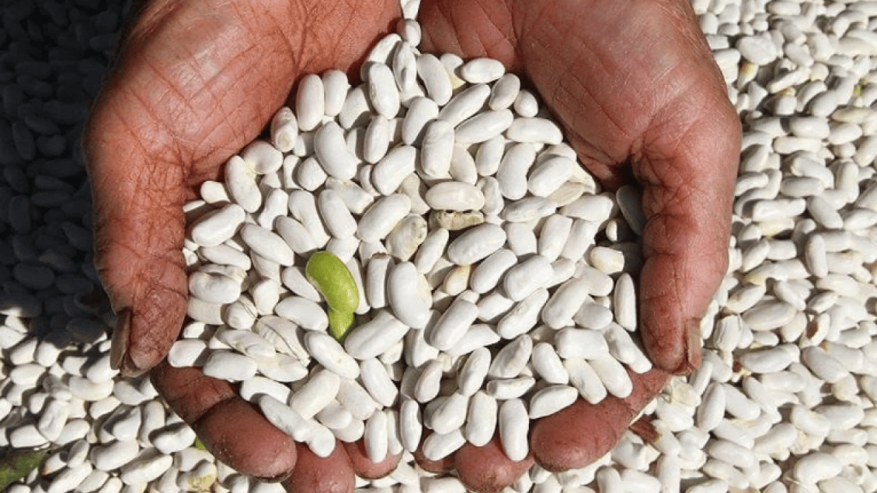 Foto - O üründe makas açıldı: Tarlada 10 markette 40 lira!