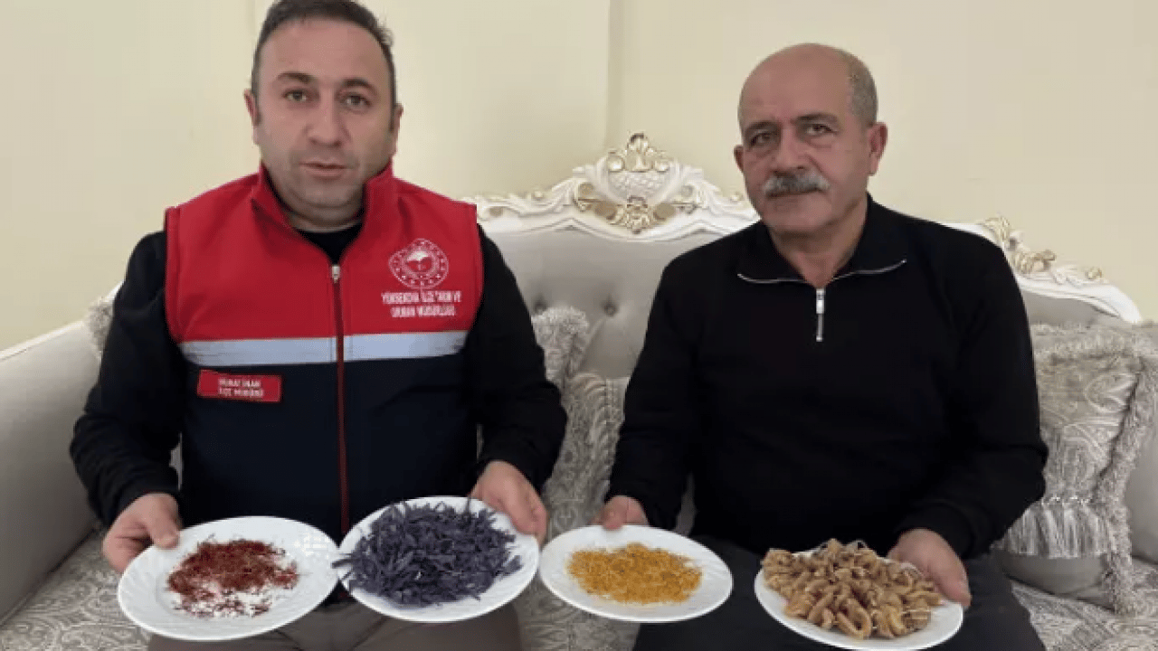 Foto - Yapamazsın diyenlere inat: Dünyanın en pahalı 2 bitkisini üretti!