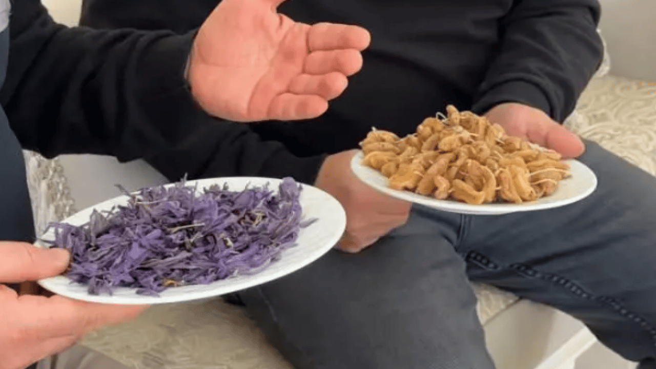 Foto - Yapamazsın diyenlere inat: Dünyanın en pahalı 2 bitkisini üretti!