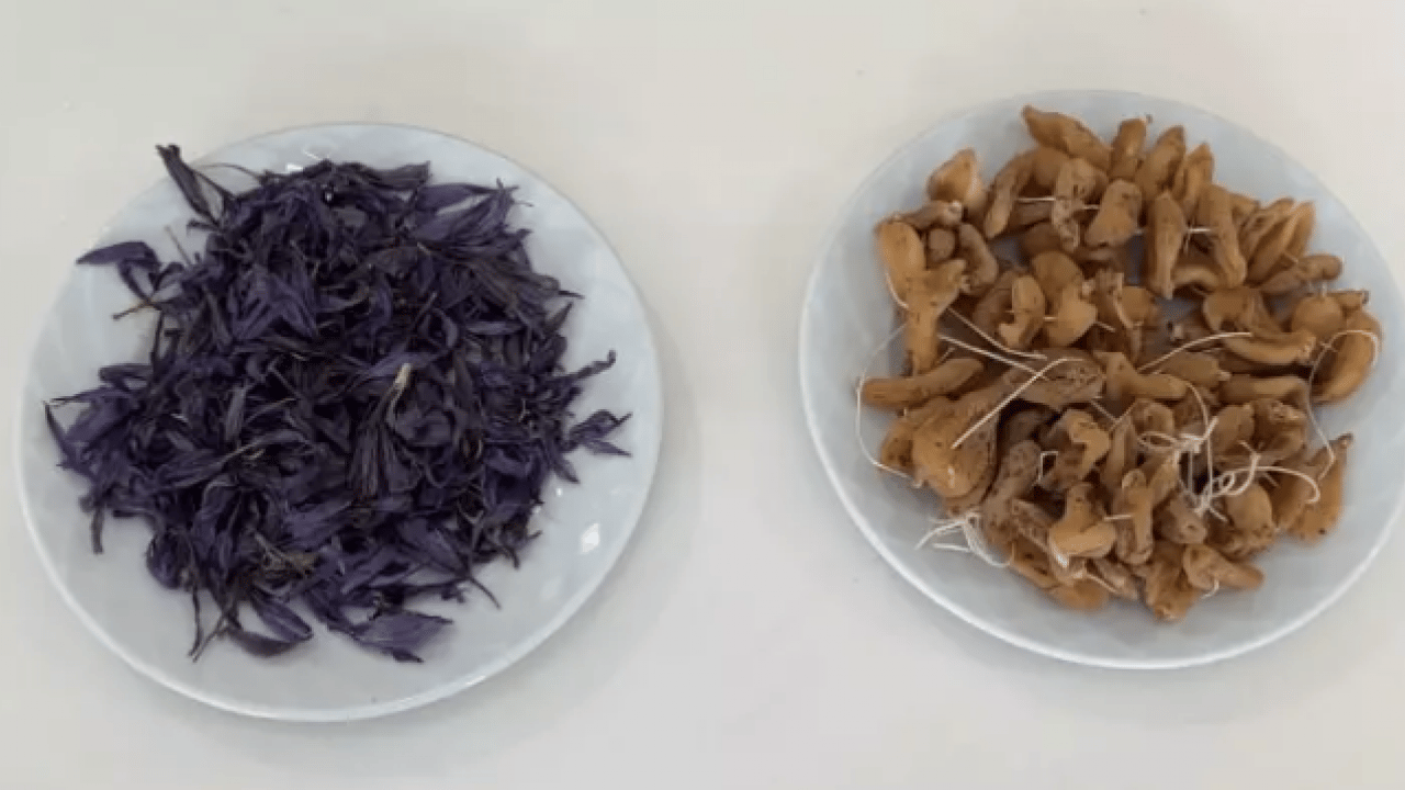 Foto - Yapamazsın diyenlere inat: Dünyanın en pahalı 2 bitkisini üretti!