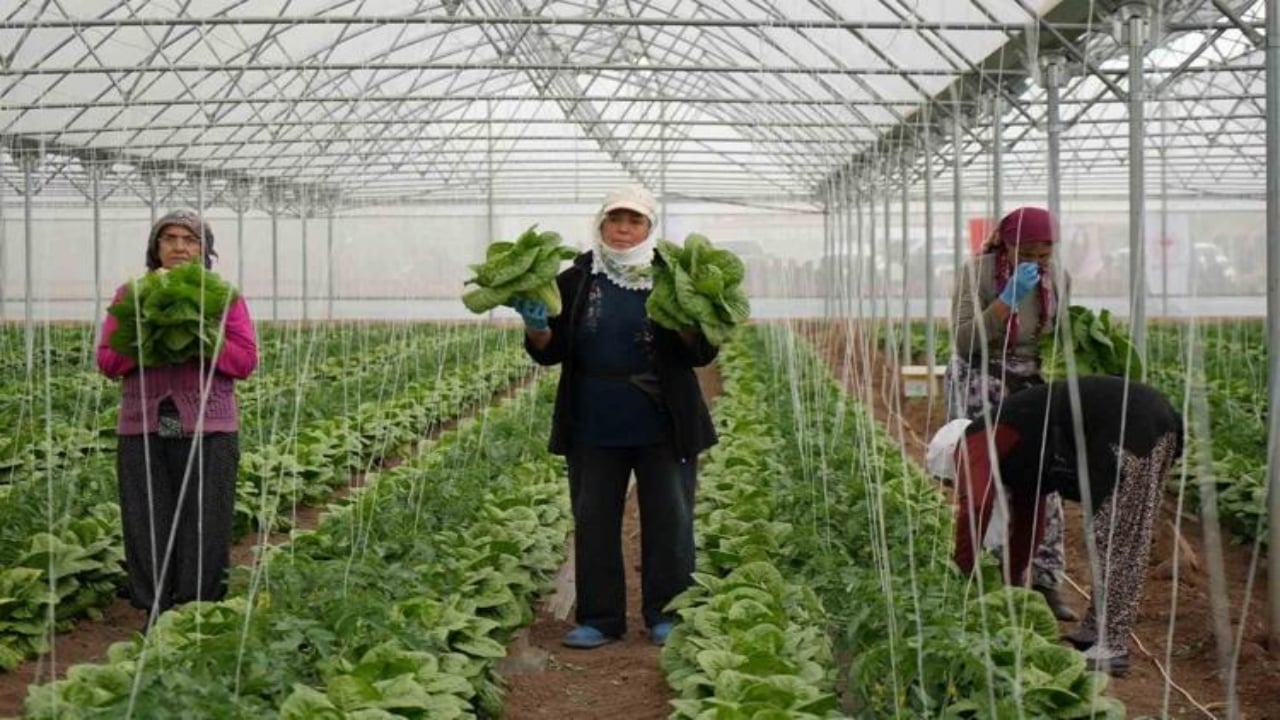 Foto - "Yapamazsın" diyenlere inat servet kazandı! Bileziklerini sattı, şimdi paraya para demiyor