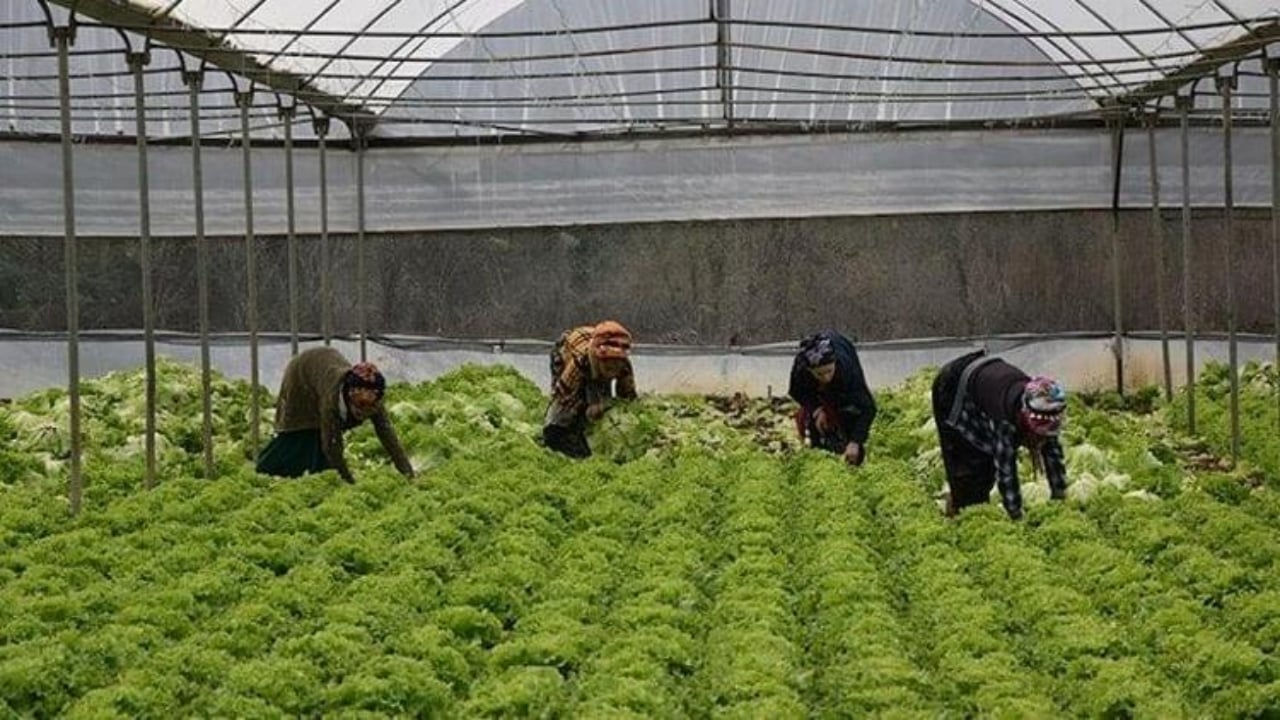 Foto - "Yapamazsın" diyenlere inat servet kazandı! Bileziklerini sattı, şimdi paraya para demiyor