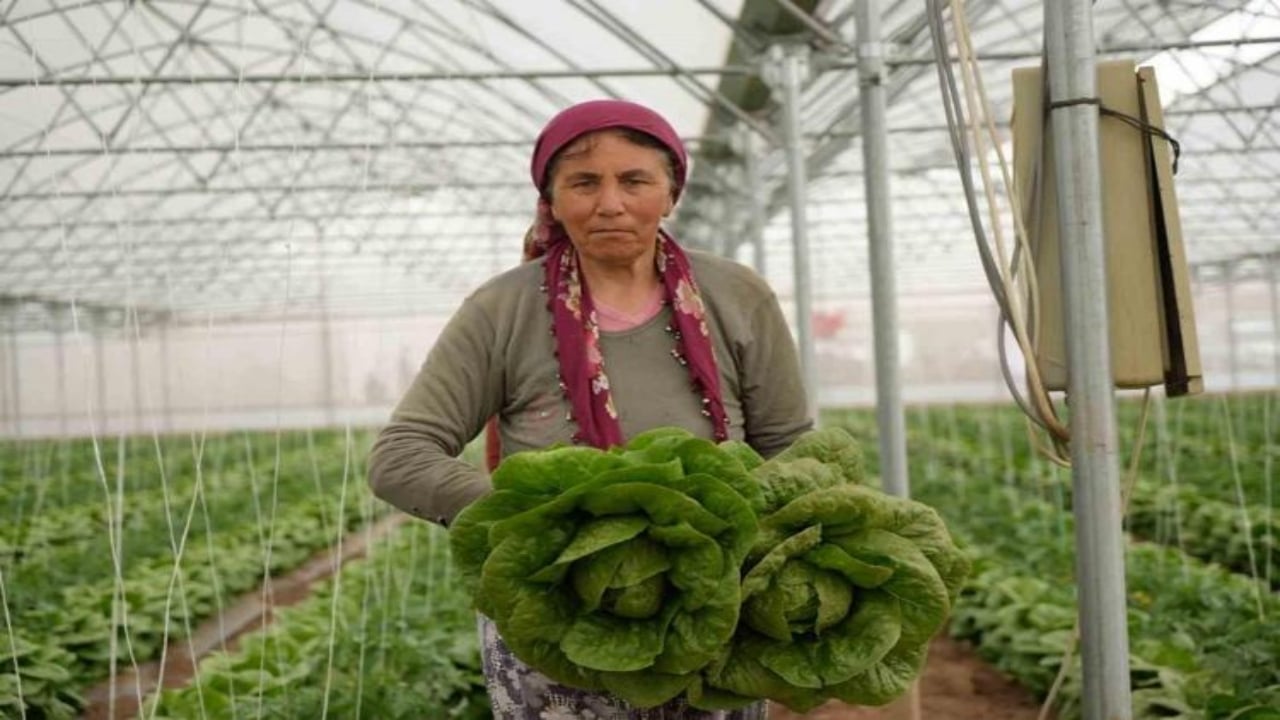 "Yapamazsın" diyenlere inat servet kazandı! Bileziklerini sattı, şimdi paraya para demiyor