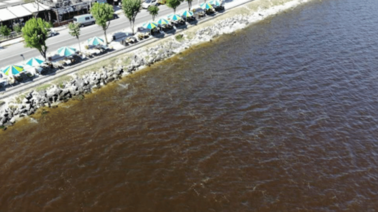 Foto - Yapay zeka değil gerçek! Küçükçekmece Gölü'nden korkutan görüntü