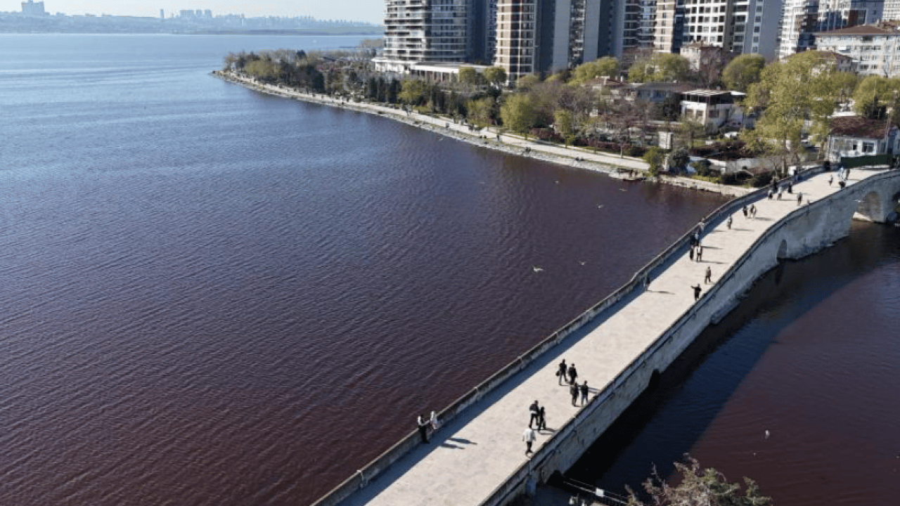 Foto - Yapay zeka değil gerçek! Küçükçekmece Gölü'nden korkutan görüntü