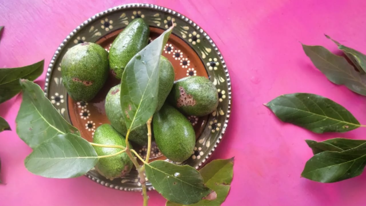 Foto - Yaprağı meyvesi gibi şifa! İşte o muhteşem meyve