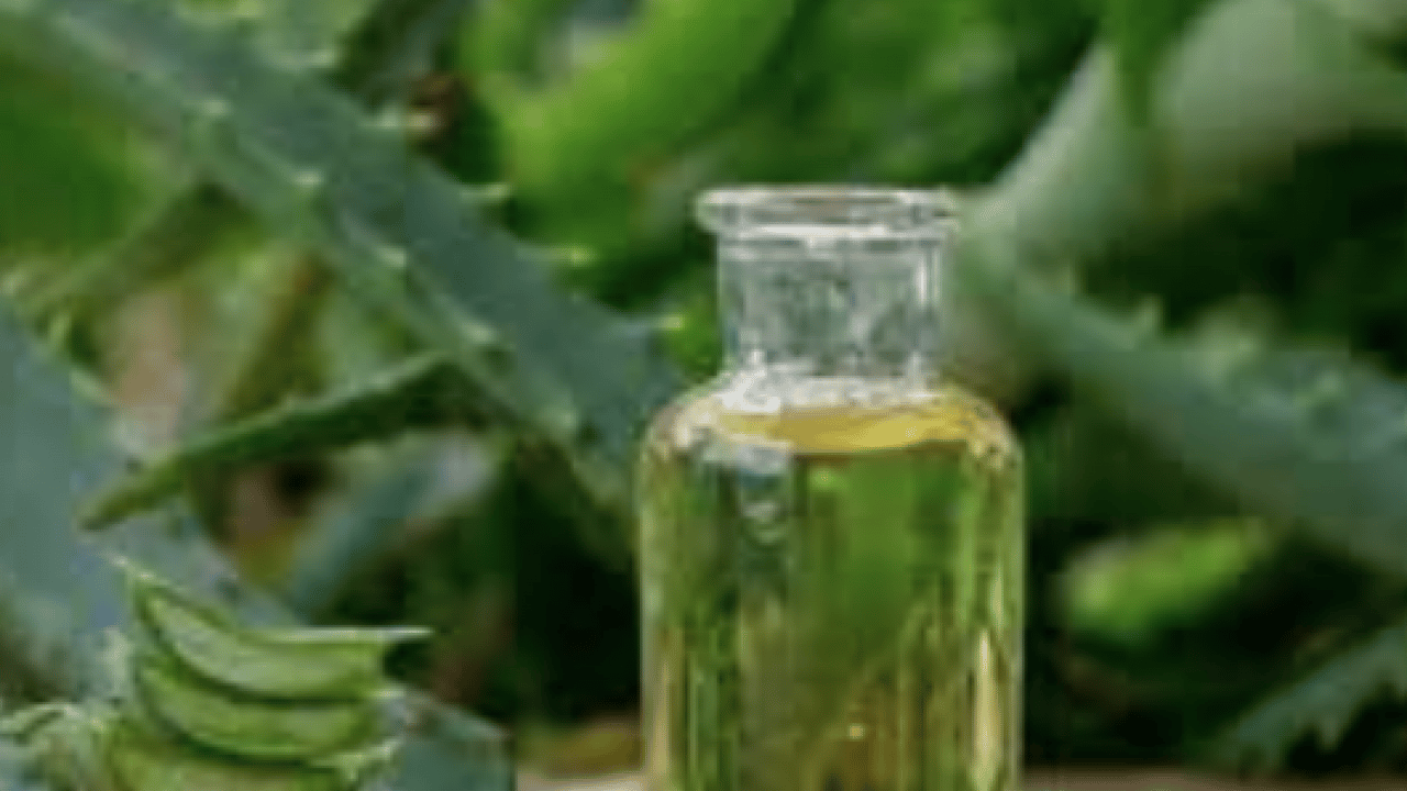 Foto - Yaraya yağ sürülür mü? İşte yanıklara iyi gelen 3 yağ! Dermatoloji uzmanı açıkladı