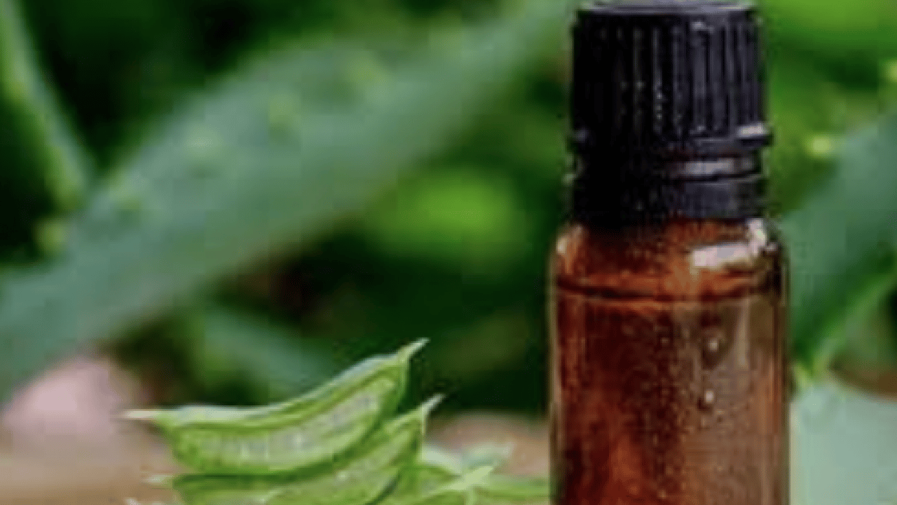 Foto - Yaraya yağ sürülür mü? İşte yanıklara iyi gelen 3 yağ! Dermatoloji uzmanı açıkladı