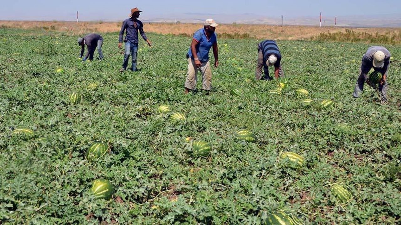 Foto - Yargıtay’dan emsal karar! Bir iş koluna daha ihbar tazminatı yolu
