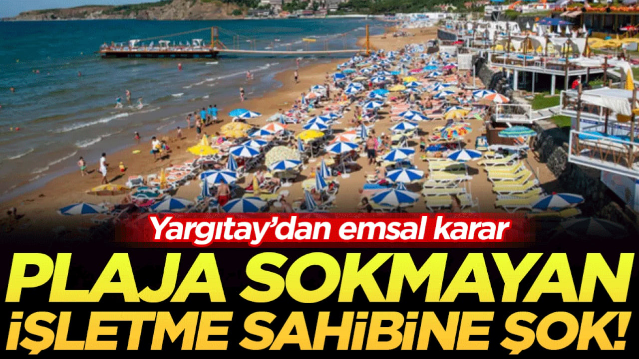 Yargıtay'dan emsal karar: Plaja sokmayan işletme sahibine büyük şok!