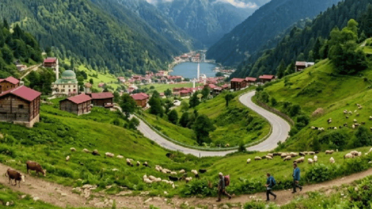 Buralarda yaşamak ayrıcalık: Dünyanın en yaşanabilir 10 şehri belli oldu! 