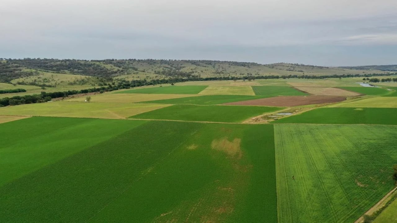 Yatırımcılar şaşkın! Arsa değeri en çok artan iller belli oldu
