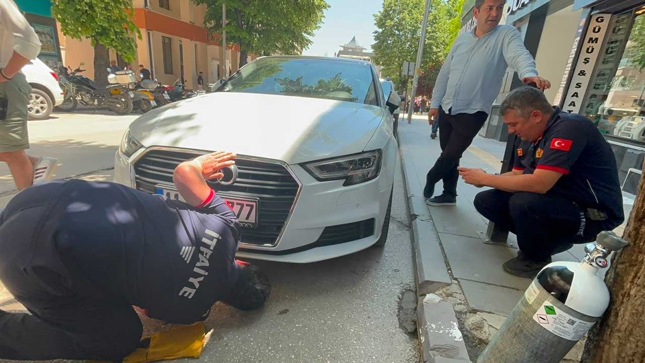 Yavru kedi itfaiyeyi peşinden koşturdu! Motor kısmından kurtarıldı, saklambaç oynar gibi araçtan araca kaçtı!