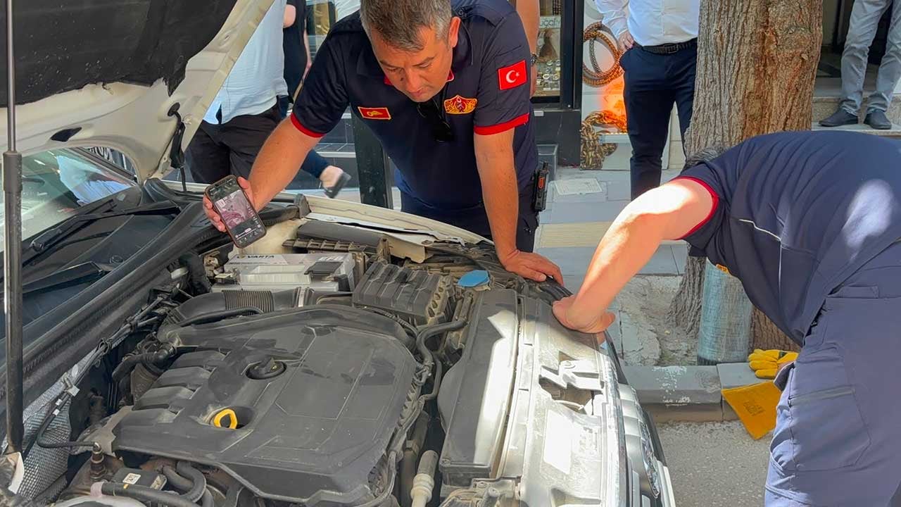 Foto - Yavru kedi itfaiyeyi peşinden koşturdu! Motor kısmından kurtarıldı, saklambaç oynar gibi araçtan araca kaçtı!