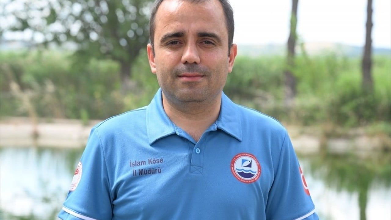 Foto - Yavrular Edirne’de üretiliyor 40 milyon sazanı bölgedeki sularla buluşturdular