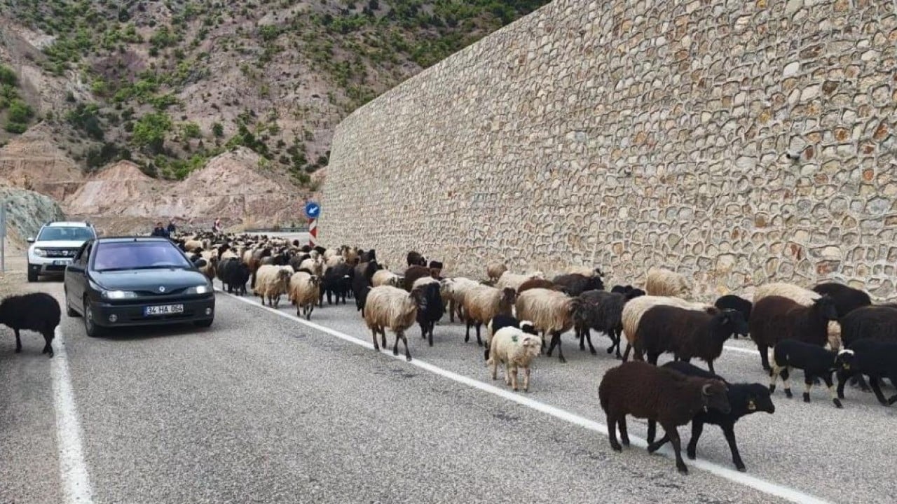 Foto - Yayla yolunda zorlu göçler başladı