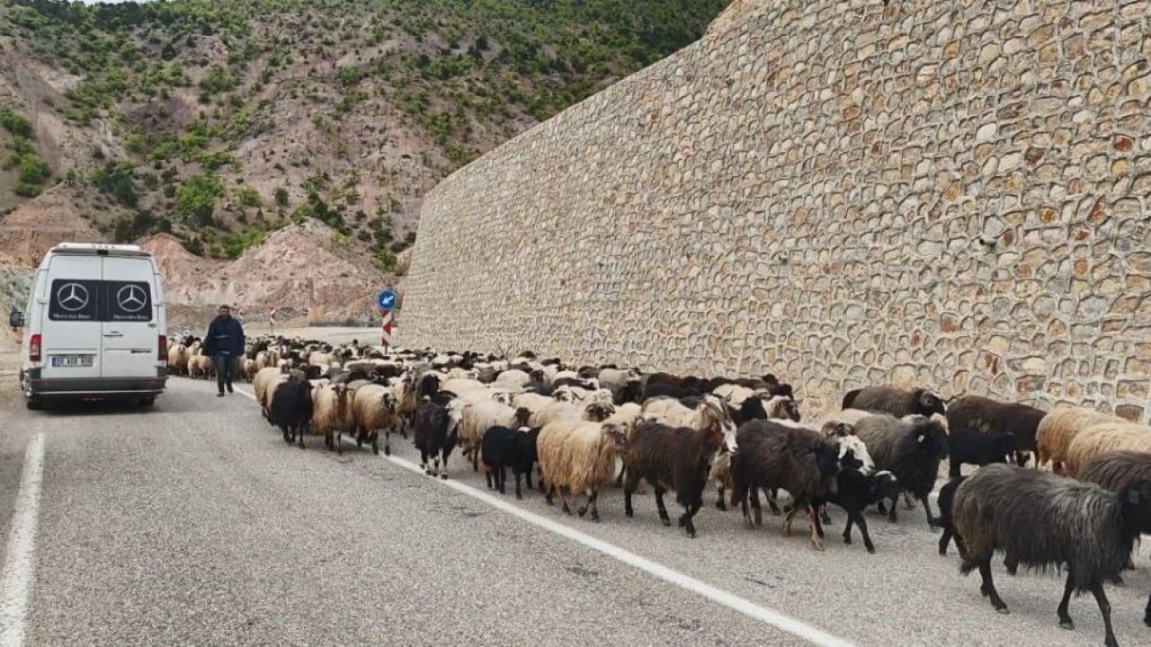 Foto - Yayla yolunda zorlu göçler başladı
