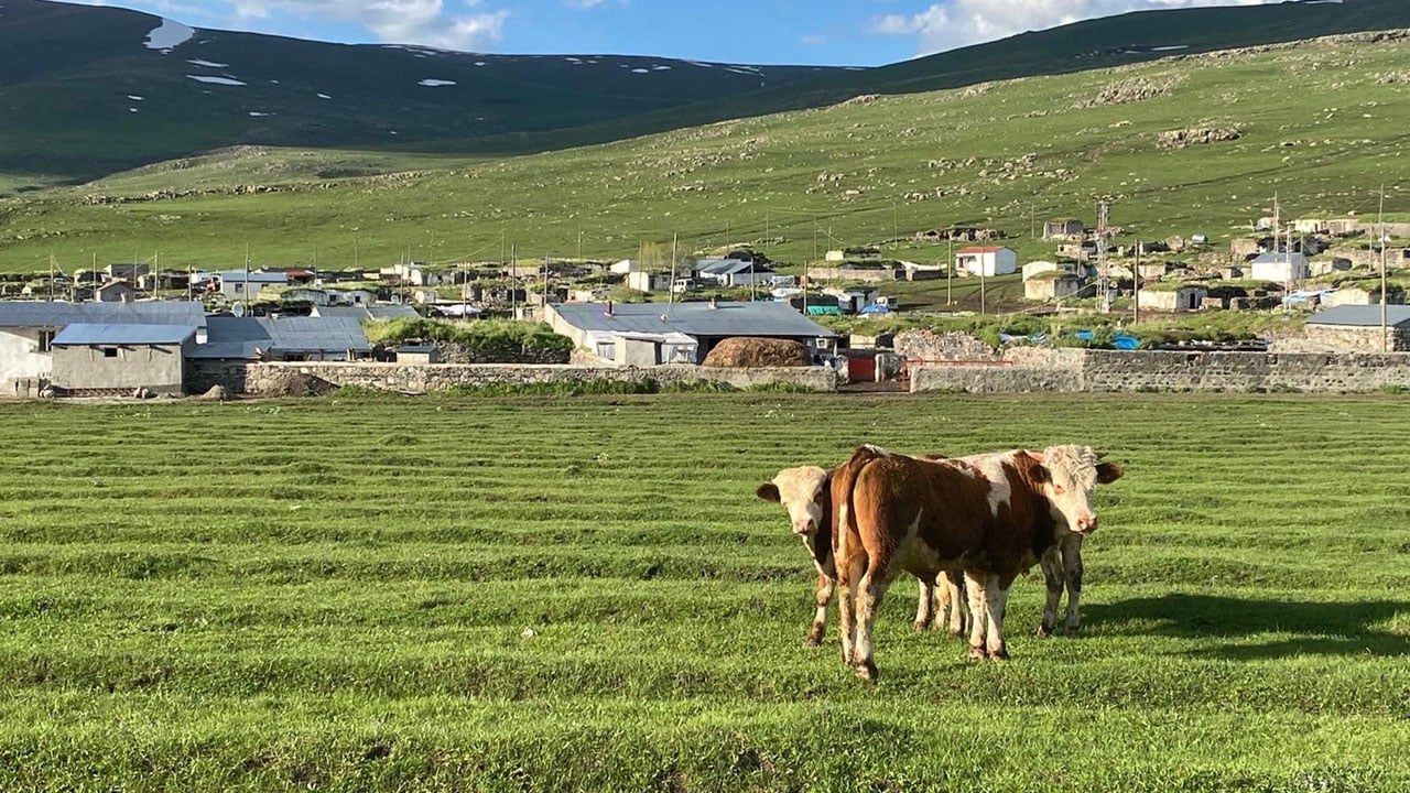 Foto - Yaylada kış hazırlığı! Kars'ta 2 bin metrede üretime geçildi