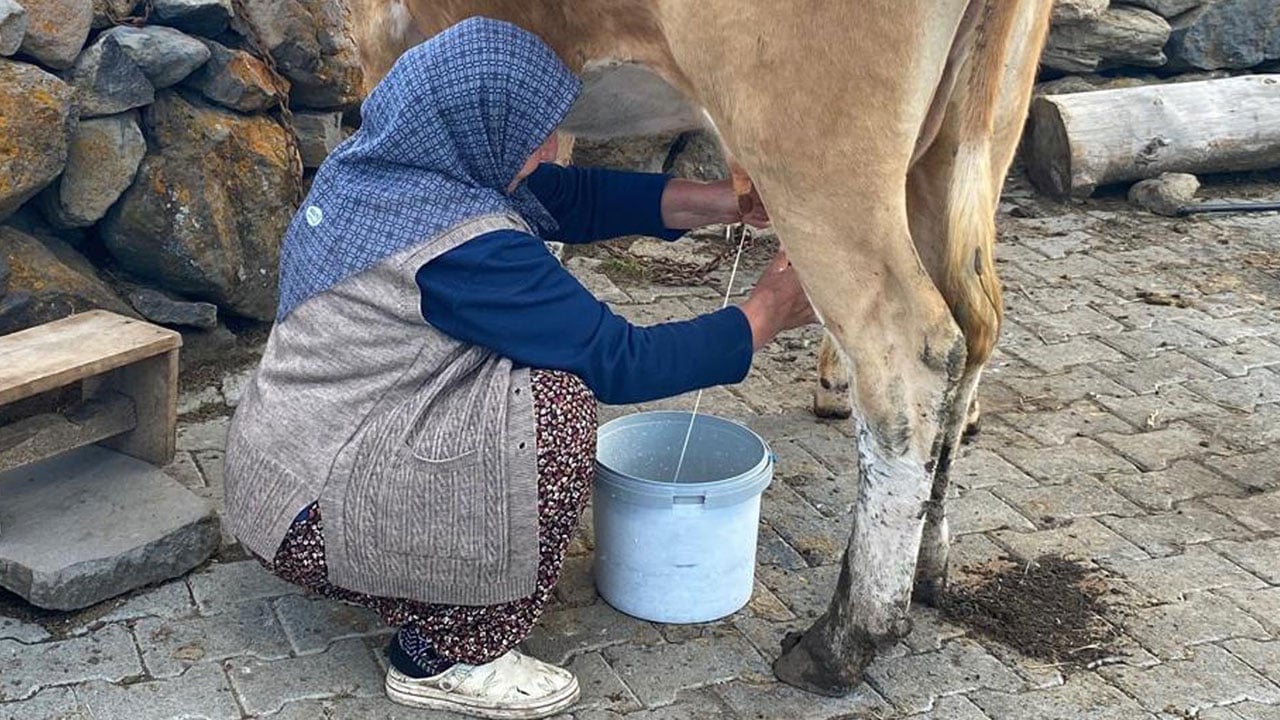 Foto - Yaylada kış hazırlığı! Kars'ta 2 bin metrede üretime geçildi