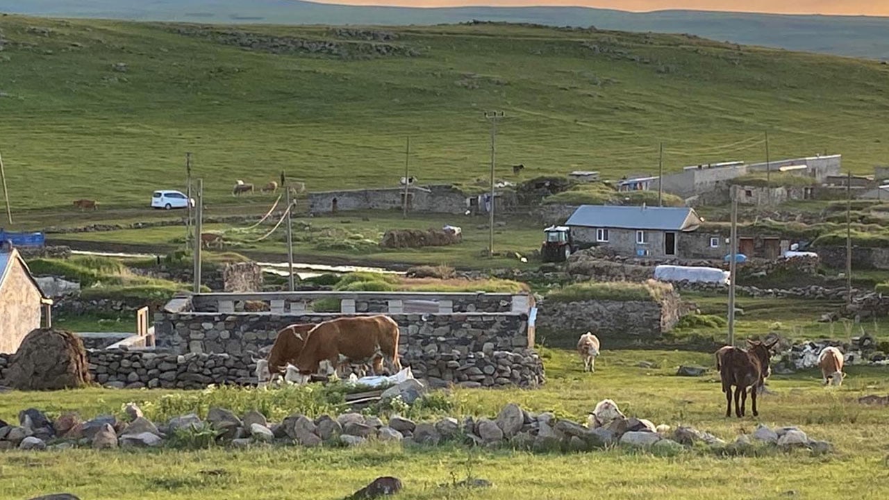 Yaylada kış hazırlığı! Kars'ta 2 bin metrede üretime geçildi