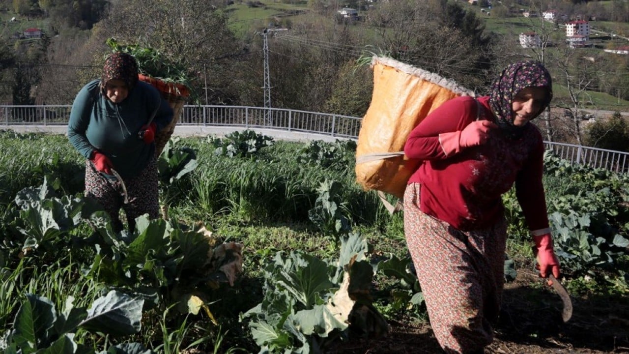 Foto - Yayladan stadyuma! Karadeniz kadınının Trabzonspor tutkusu