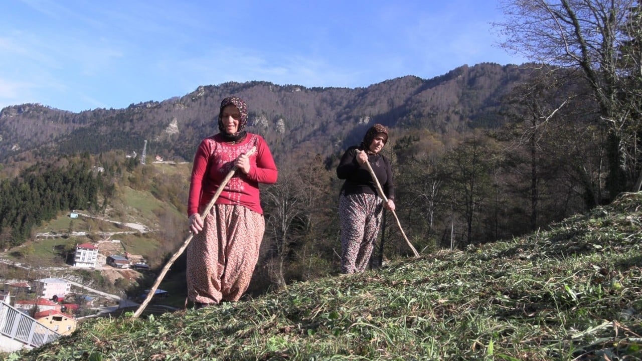 Foto - Yayladan stadyuma! Karadeniz kadınının Trabzonspor tutkusu