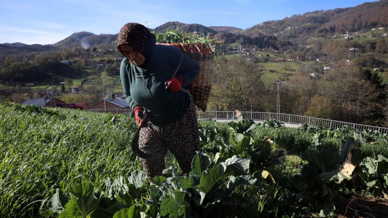 Foto - Yayladan stadyuma! Karadeniz kadınının Trabzonspor tutkusu