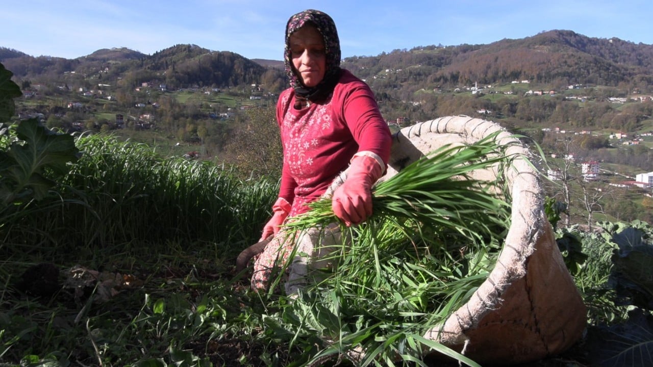 Foto - Yayladan stadyuma! Karadeniz kadınının Trabzonspor tutkusu
