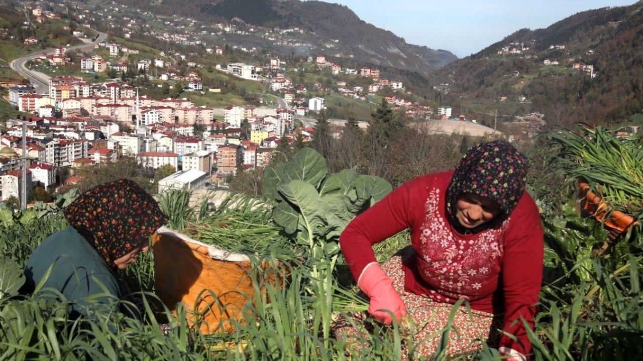 Foto - Yayladan stadyuma! Karadeniz kadınının Trabzonspor tutkusu
