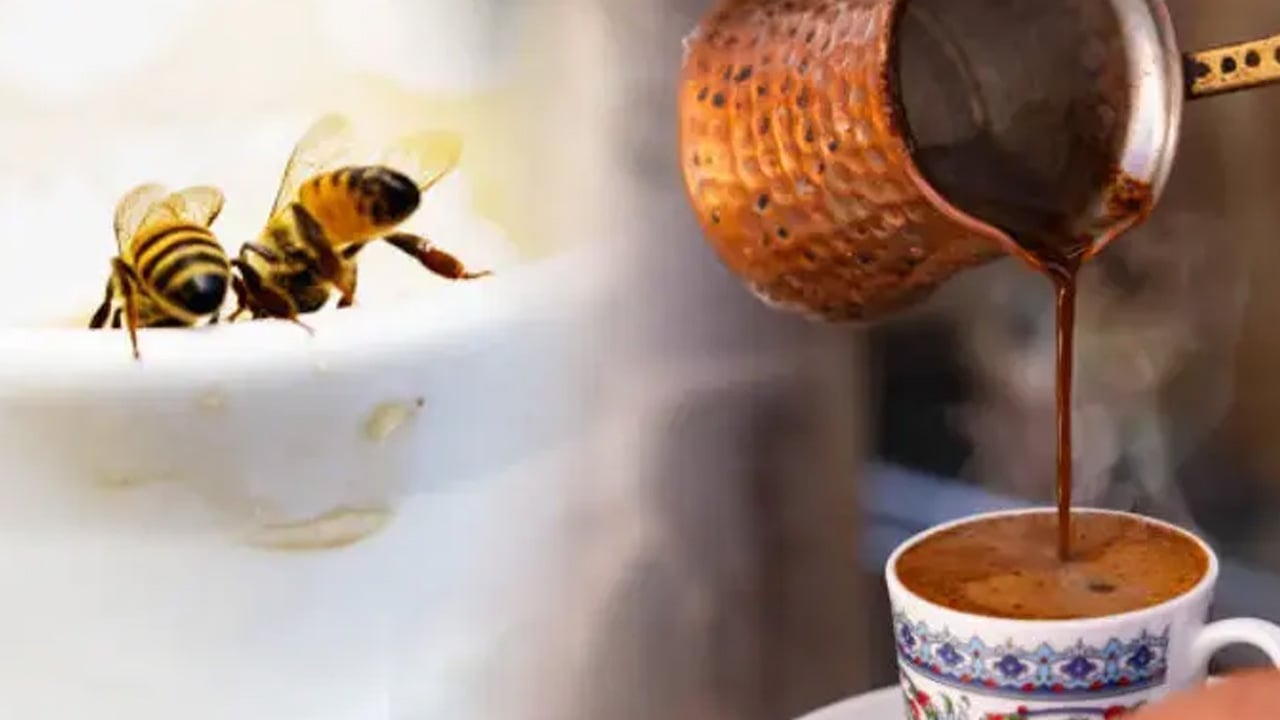 Foto - Yaz ayında pikniğe gidecekler dikkat... Kene ve arıdan korunmak meğer kolaymış: O uygulama örnek gösterildi!