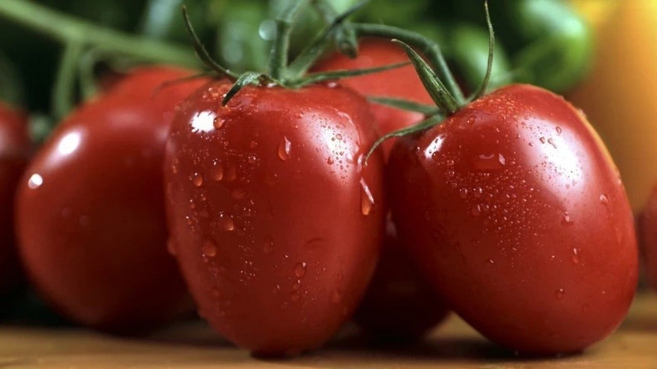 Foto - Yaz ayları yaklaşırken moralleri bozacak domates gelişmesi: Kötü haberi verdi