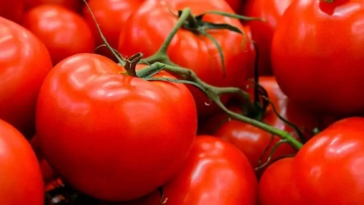 Foto - Yaz ayları yaklaşırken moralleri bozacak domates gelişmesi: Kötü haberi verdi