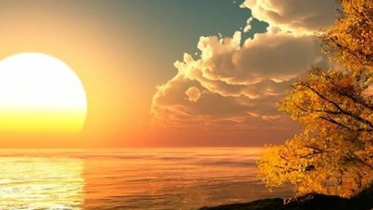 Foto - Yaz güneşi kemiklerinizi çelik gibi sağlamlaştırıyor: D vitamini eksikliği sona eriyor... Öyle bir iyi geliyor ki...