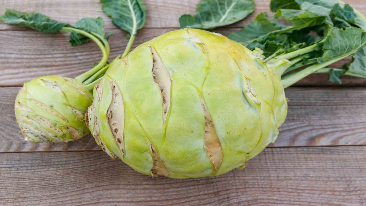 Foto - Yaz kış demeden yılın her günü hasat veriyor! Eken, bir yılda servet kazanıyor