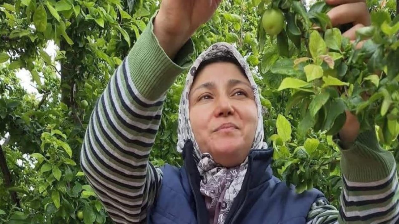 Foto - Yaz meyvelerinde bolluk üreticiyi sevindirdi