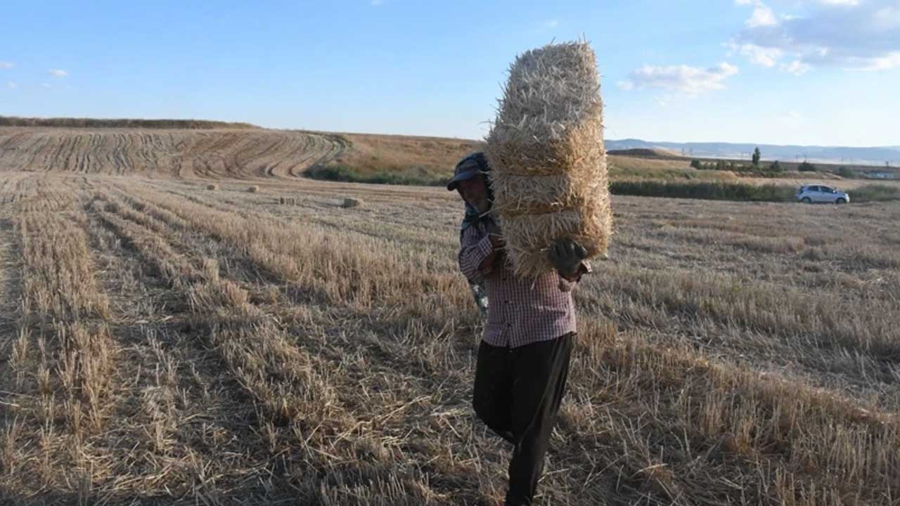 Foto - Yaz tatilini değerlendirmek isteyen öğrencilere gelir kapısı! Bir günde 7 bin lira kazanıyorlar