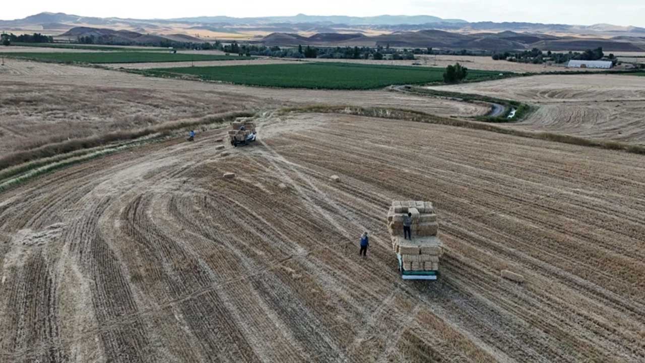 Foto - Yaz tatilini değerlendirmek isteyen öğrencilere gelir kapısı! Bir günde 7 bin lira kazanıyorlar