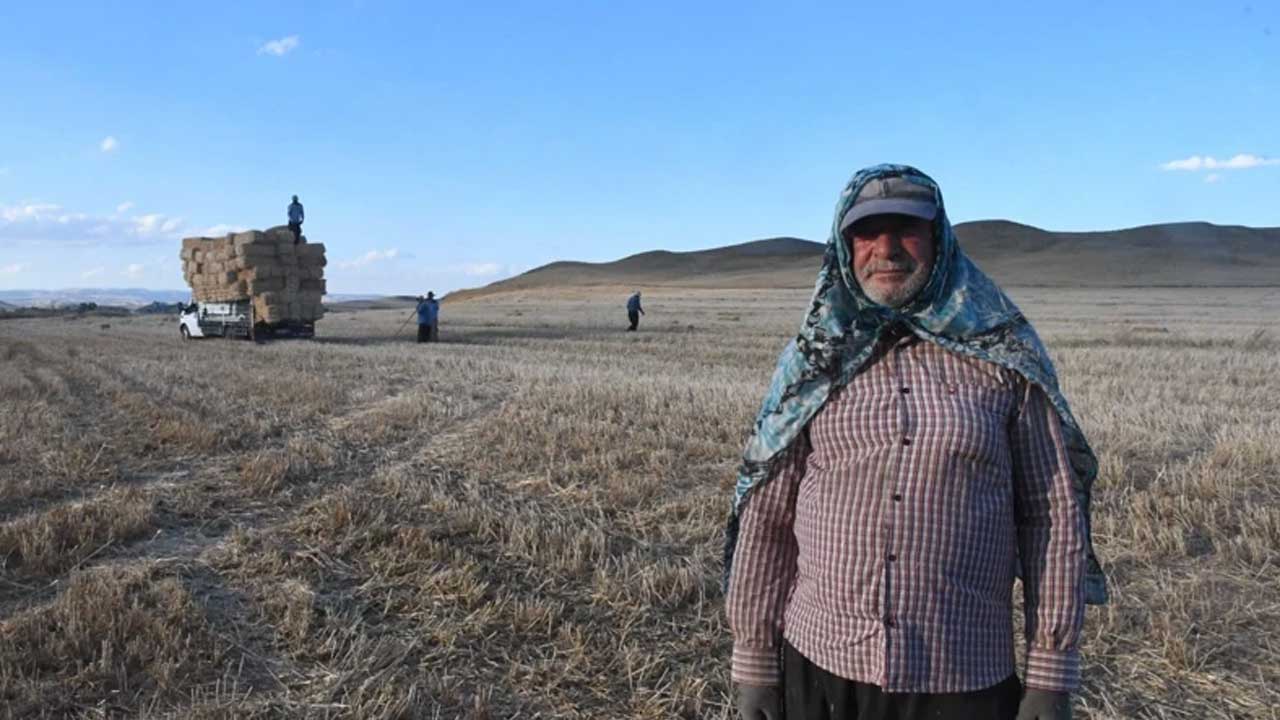 Foto - Yaz tatilini değerlendirmek isteyen öğrencilere gelir kapısı! Bir günde 7 bin lira kazanıyorlar