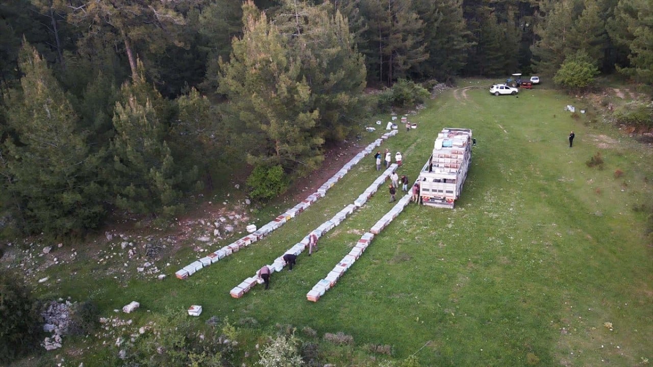 Foto - Havalar ısındı! Gezginci arıcıların yayla yolculuğu başladı