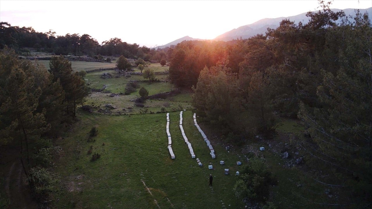 Foto - Havalar ısındı! Gezginci arıcıların yayla yolculuğu başladı