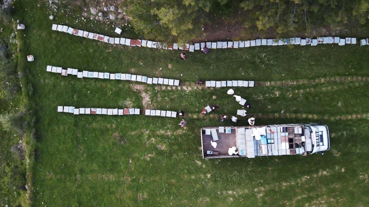 Foto - Havalar ısındı! Gezginci arıcıların yayla yolculuğu başladı